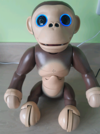 zoomer kitty liverpool